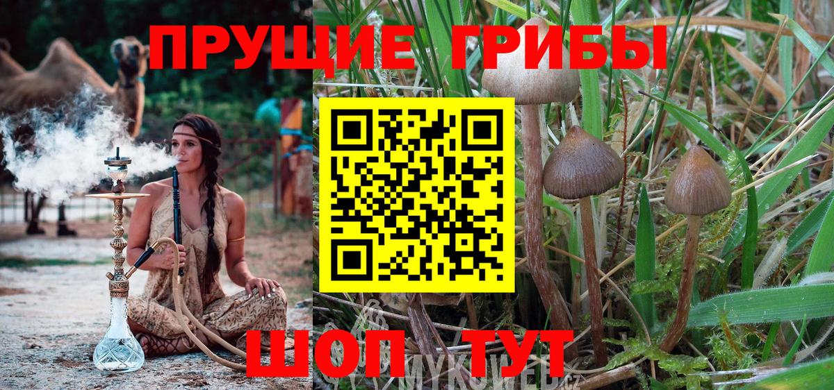 Псилоцибиновые грибы ЛСД  где найти наркотики  Лангепас  Псилоцибиновые грибы MAGIC MUSHROOMS  Вход с VPN 